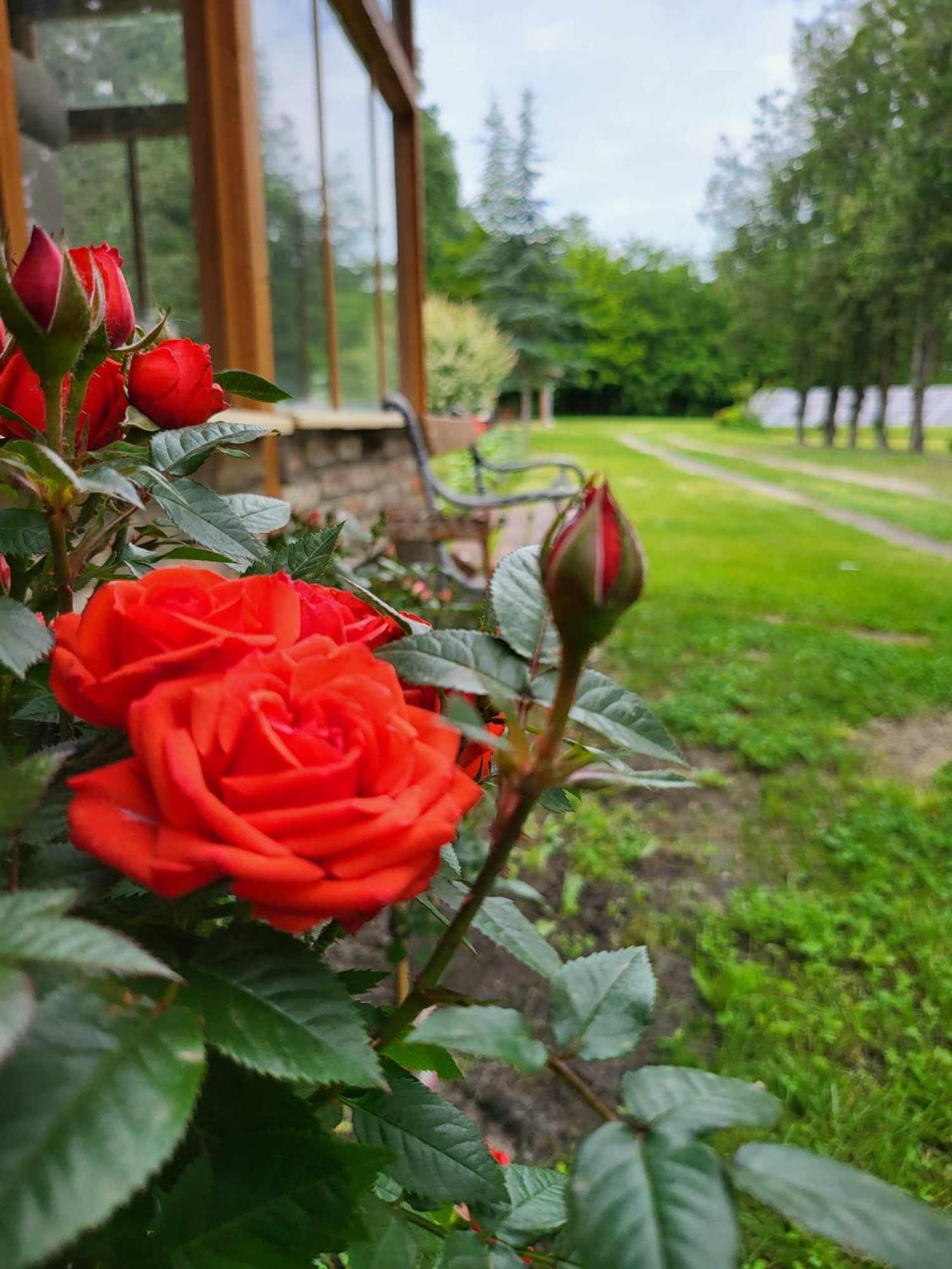Gyoember Tanya Villa Asotthalom Exterior photo
