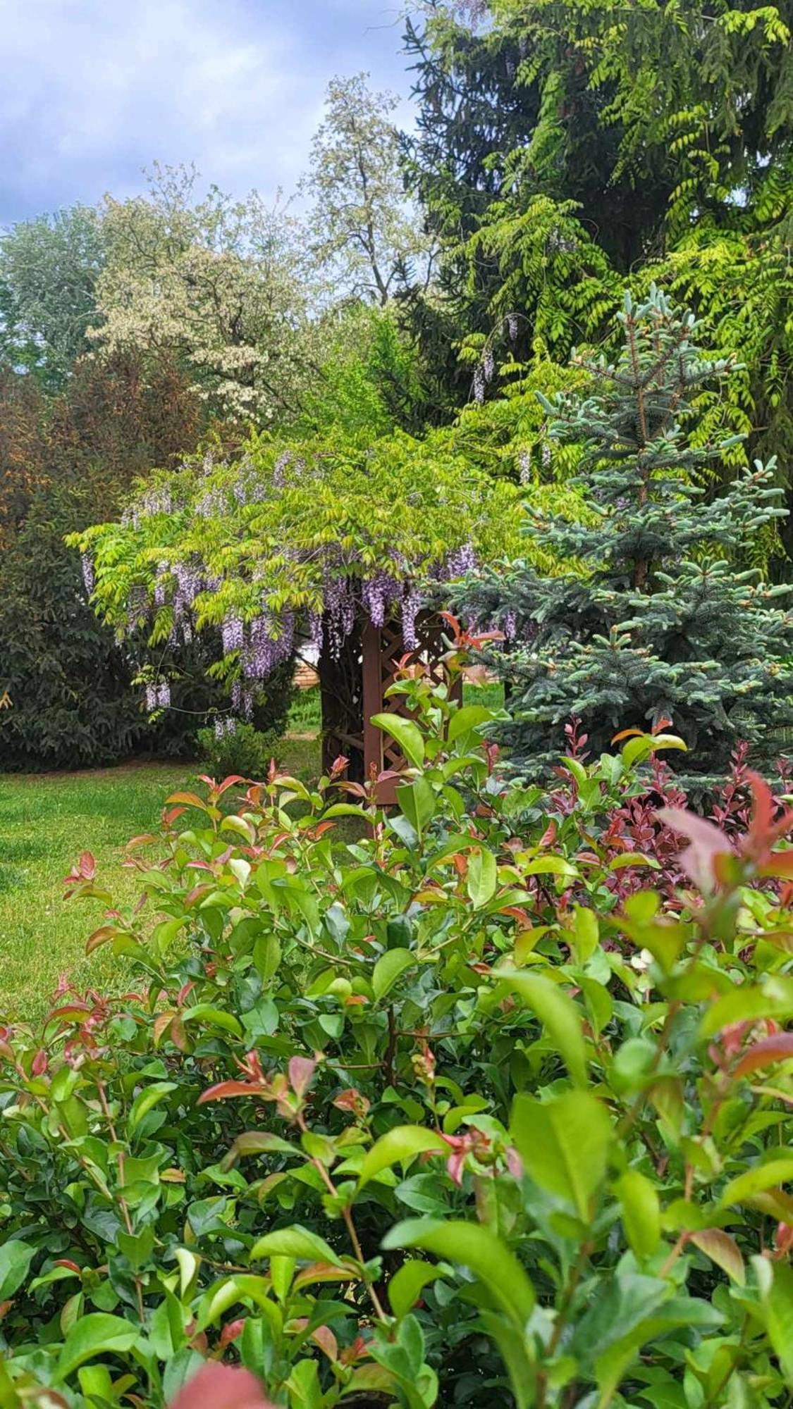 Gyoember Tanya Villa Asotthalom Exterior photo